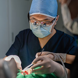 ការវះកាត់ដែលមានភាពត្រឹមត្រូវ